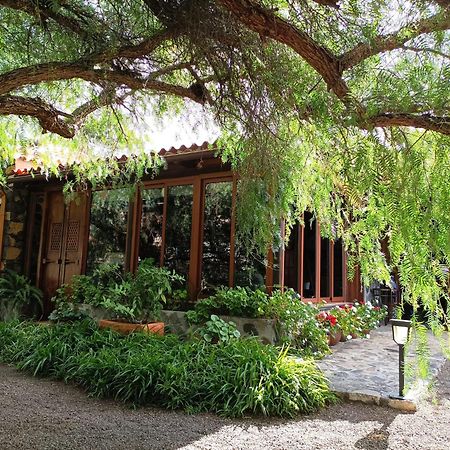 Finca Alda Los Llanos De Aridane Dış mekan fotoğraf