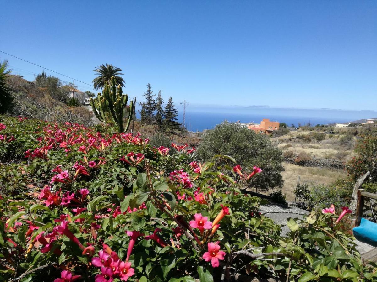 Finca Alda Los Llanos De Aridane Dış mekan fotoğraf